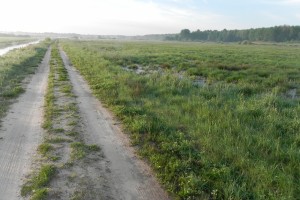 DSCN0734
