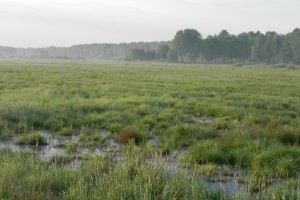 DSCN0735