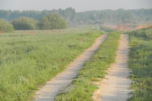 DSCN0739