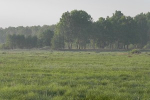 DSCN0742