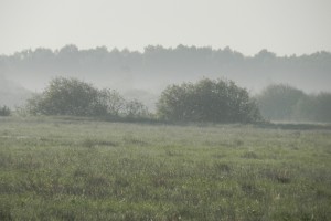 DSCN0758