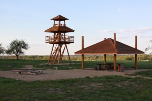 IMG_0531